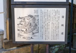 SBJ08135