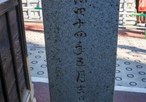 SBJ08138