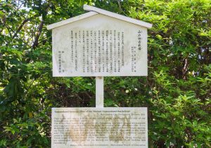 SBJ00124