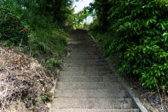 DSC05096