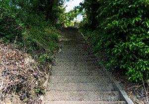 SBJ05096