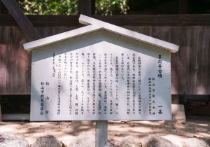 SBJ01214