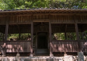 SBJ01223