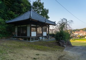 SBJ00460