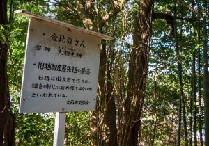 DSC06560