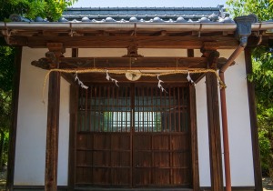 SBJ01020
