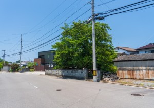 SBJ01039