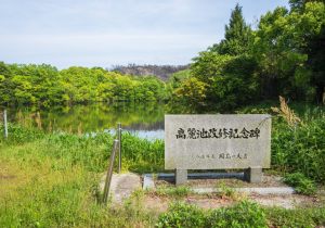 SBJ09333