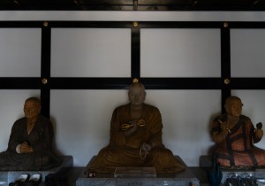 SBJ03620