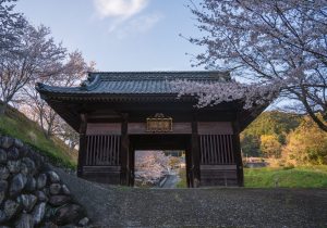 SBJ05191