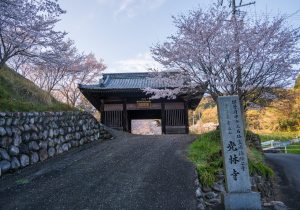 SBJ05194