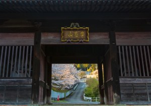 SBJ05198