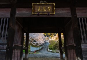 SBJ05201