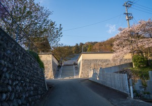 SBJ05207