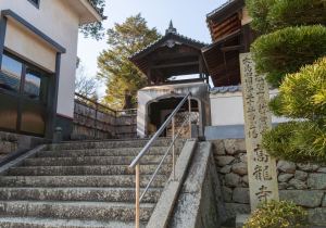 SBJ06195