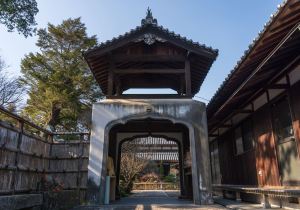 SBJ06196