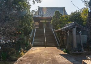 SBJ06261
