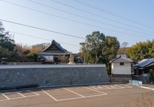 SBJ06289