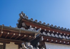 SBJ08029