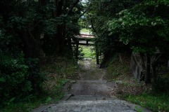 DSC05164