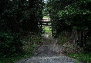 DSC05164