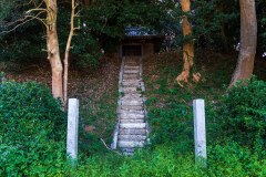 DSC00598