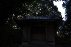 DSC00599