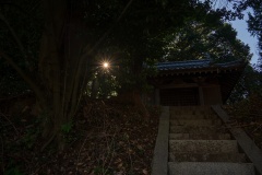 DSC00620