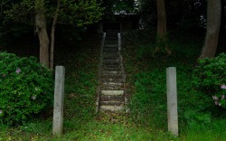 DSC09310