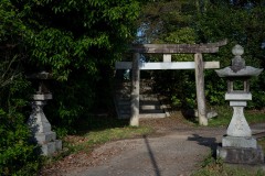 DSC00529