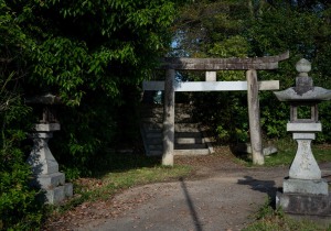 SBJ00529