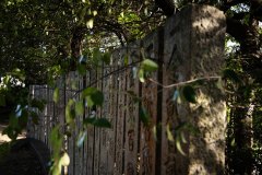 DSC00559