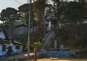 SBJ01546