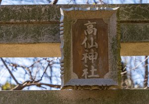 DSC09705