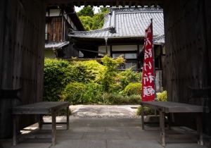 DSC04029