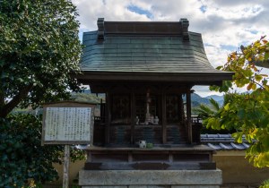 DSC04425