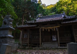 DSC00534