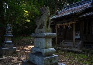DSC00541