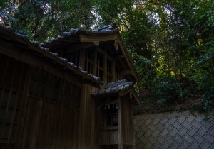 DSC00542