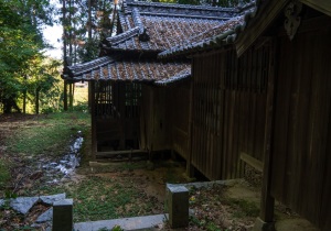DSC00546