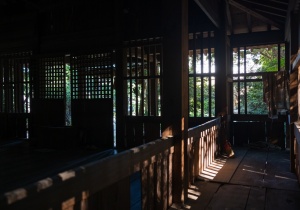 DSC00550