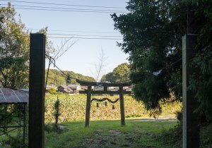 DSC00588