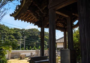 DSC08001