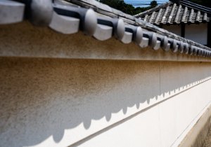 DSC08019