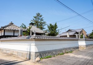 DSC08023