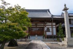 DSC04245