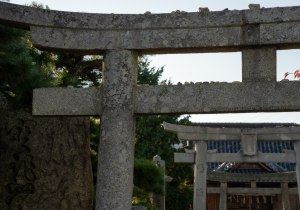 DSC01359