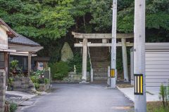 SBJ05891