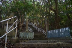 SBJ05897