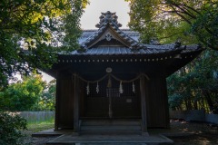SBJ05919